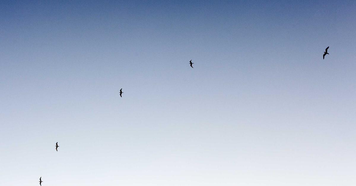 AI-First Development Workflow in 2026: The Complete Guide