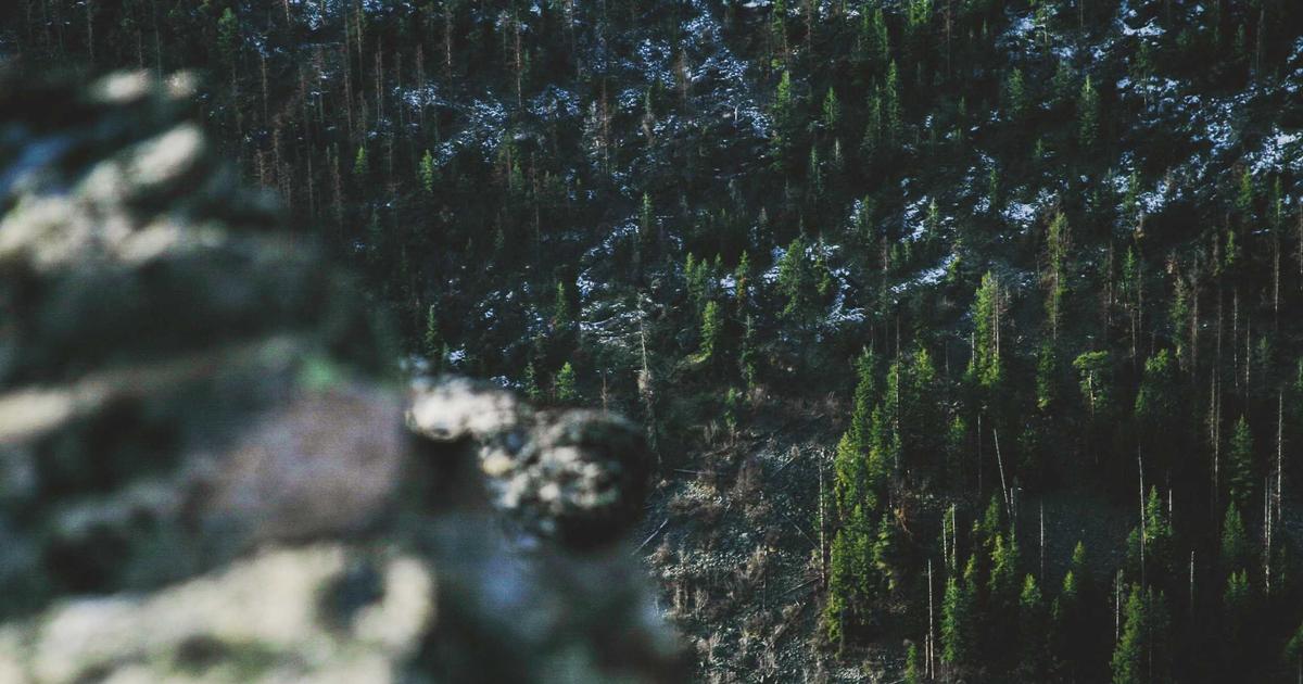 超越基礎 AI：在人工智慧時代創造真正價值