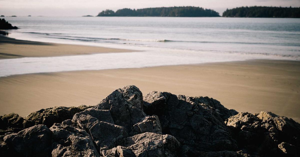 当 AI 读懂设计的规矩方圆：awesome-design.md 如何重构 UI 开发