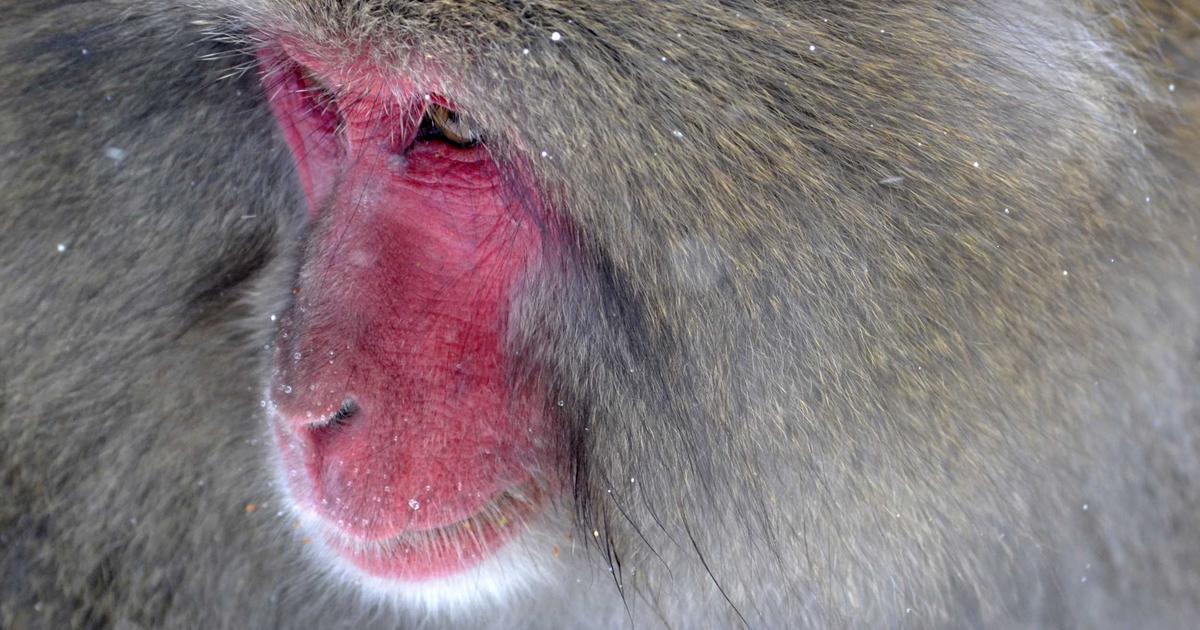 Docker Compose for Development Environments: The Complete 2026 Guide